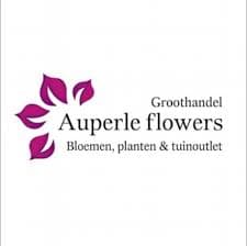 Auperlé Flowers logo