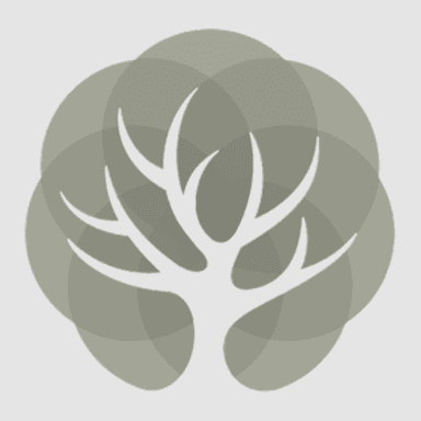 Reinier Looij B.V. logo